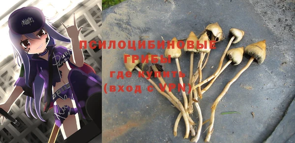 ALPHA-PVP Баксан