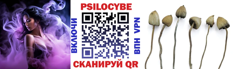 Псилоцибиновые грибы GOLDEN TEACHER  закладка  Светогорск 
