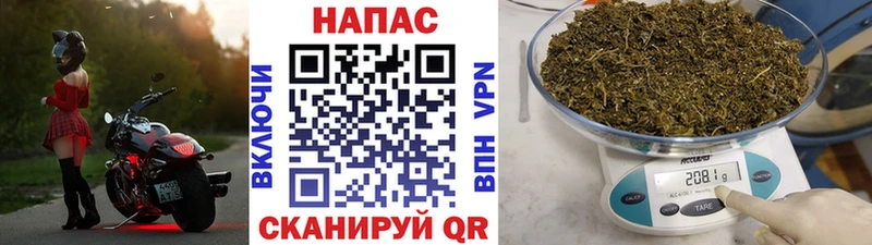 Бошки марихуана AK-47  блэк спрут ССЫЛКА  Светогорск  как найти закладки 